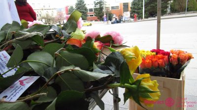 Цвете срещу безплодието: Пловдив събира дарения за инвитро на 7 и 8 март