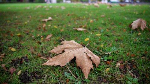 Хладна събота, може и да превали
