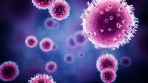 Проф. Христова предупреждава: Грипът тръгна рано, но сега върлува &bdquo;букет&ldquo; от други вируси