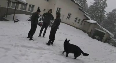 Казусът &bdquo;Петрохан&ldquo;: Бащата на 15-годишния Александър обяви пълно доверие в прокуратурата