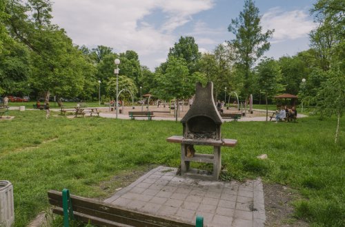 Зелените площи в Пловдив влизат под лупа: Експерти търсят спешни решения срещу натиска от строителство