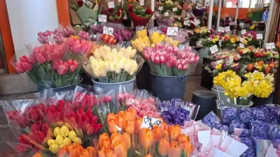 Цветна треска в Пловдив за 8 март: Зюмбюлът води, розата стигна 5 евро