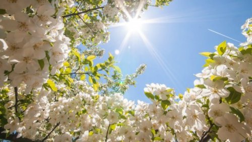 Пролетно време в Пловдив с температури до 20&deg;