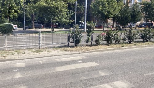 Пловдив кара &bdquo;на сляпо&ldquo;: договорът за нови &bdquo;зебри&ldquo; се бави, а учебната година наближава