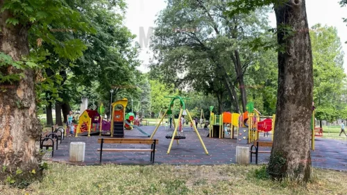 Опасни счупени клони над детска площадка в Пловдив: родители алармират за риск