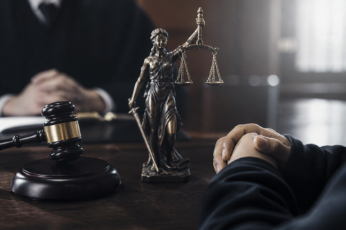 Защитата на 15-годишния Християн сезира ЕСПЧ и иска домашен арест