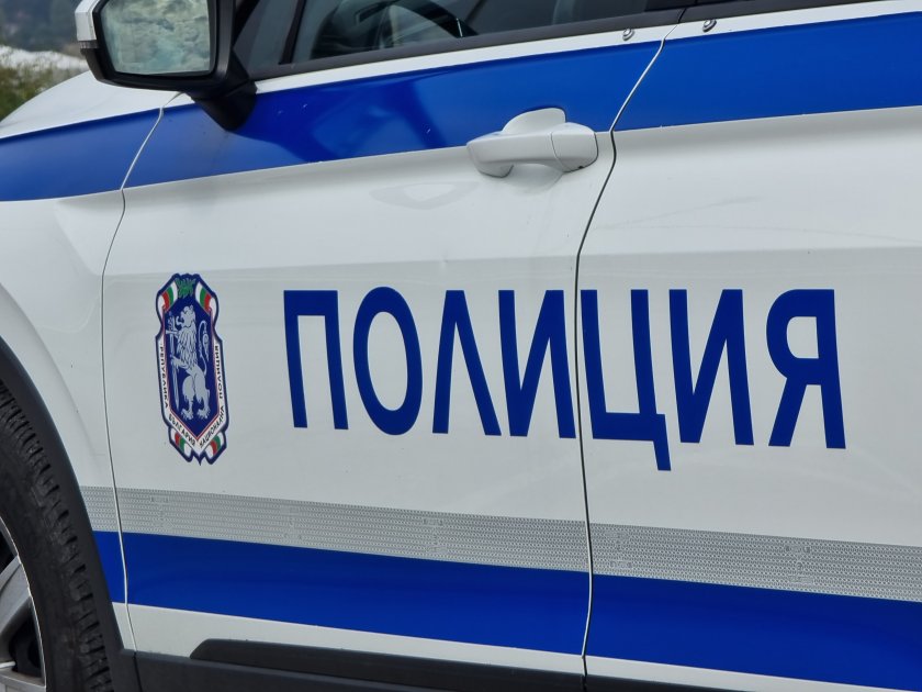 Котешкият казус в Пловдив пак ескалира: 3 часа полиция и пожарна пробиват барикадирана къща