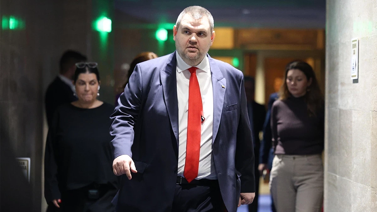 Сметната палата започва проверка на Делян Пеевски за конфликт на интереси