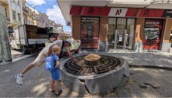 Махнаха емблематичното дърво на Главната в Пловдив