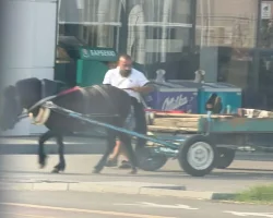 Пълен абсурд в Пловдив, каруца спря на бензиностанция