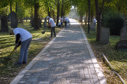 Лекари дарители обновиха алея в Еврейския гробищен парк Пловдив