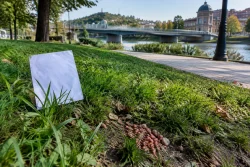 Бележки за отрова тревожат Пловдив край бул. „Марица юг“