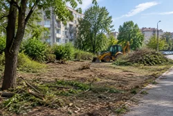 Тони Стойчева отрече строеж край ул. „Белица“ в Пловдив